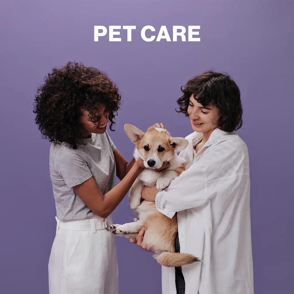 Pet-Care.webp
